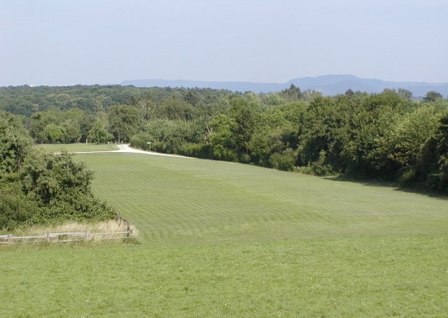 Halde von oben